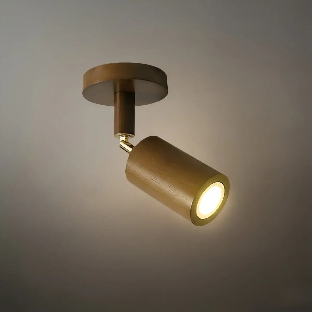 Modern Track Light