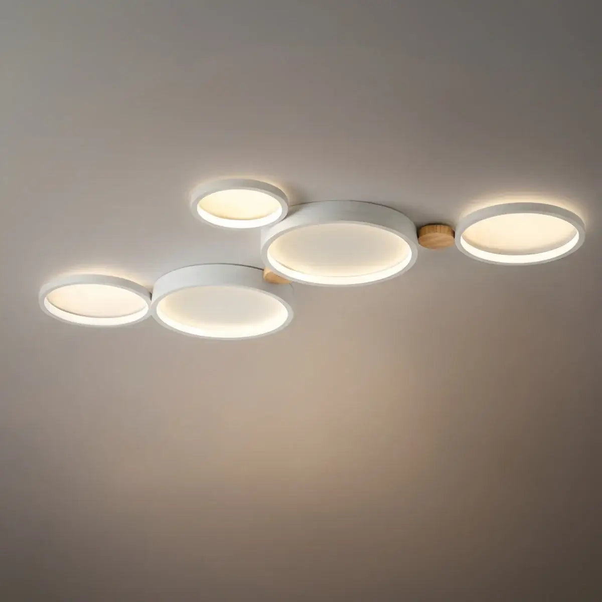 Modern Round Ceiling Light