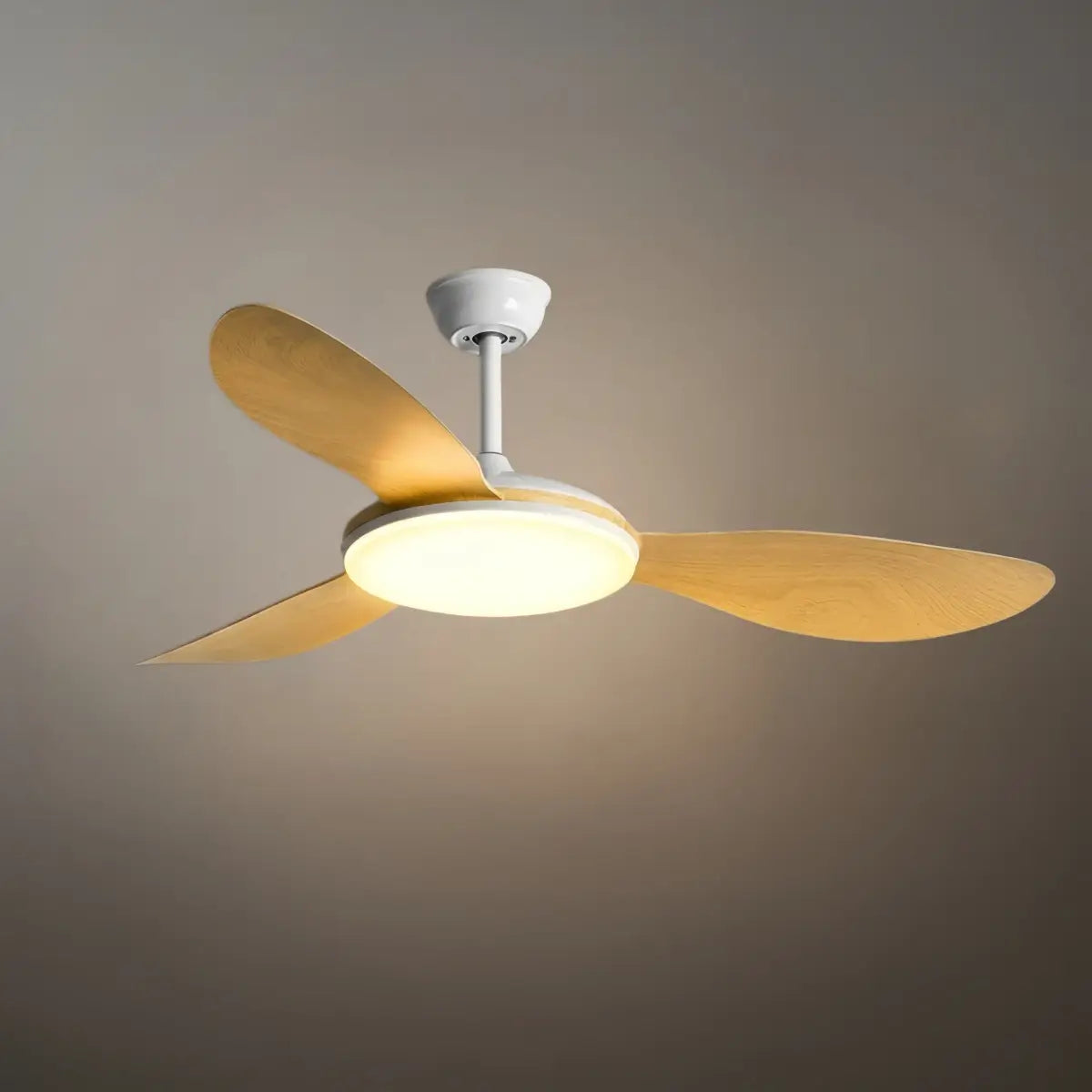 Zenno Modern Ceiling Fan Light
