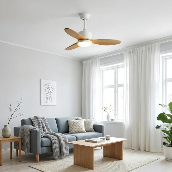Ceiling Fan Lighting