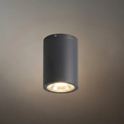 Modern_Outdoor_Ceiling_Lights
