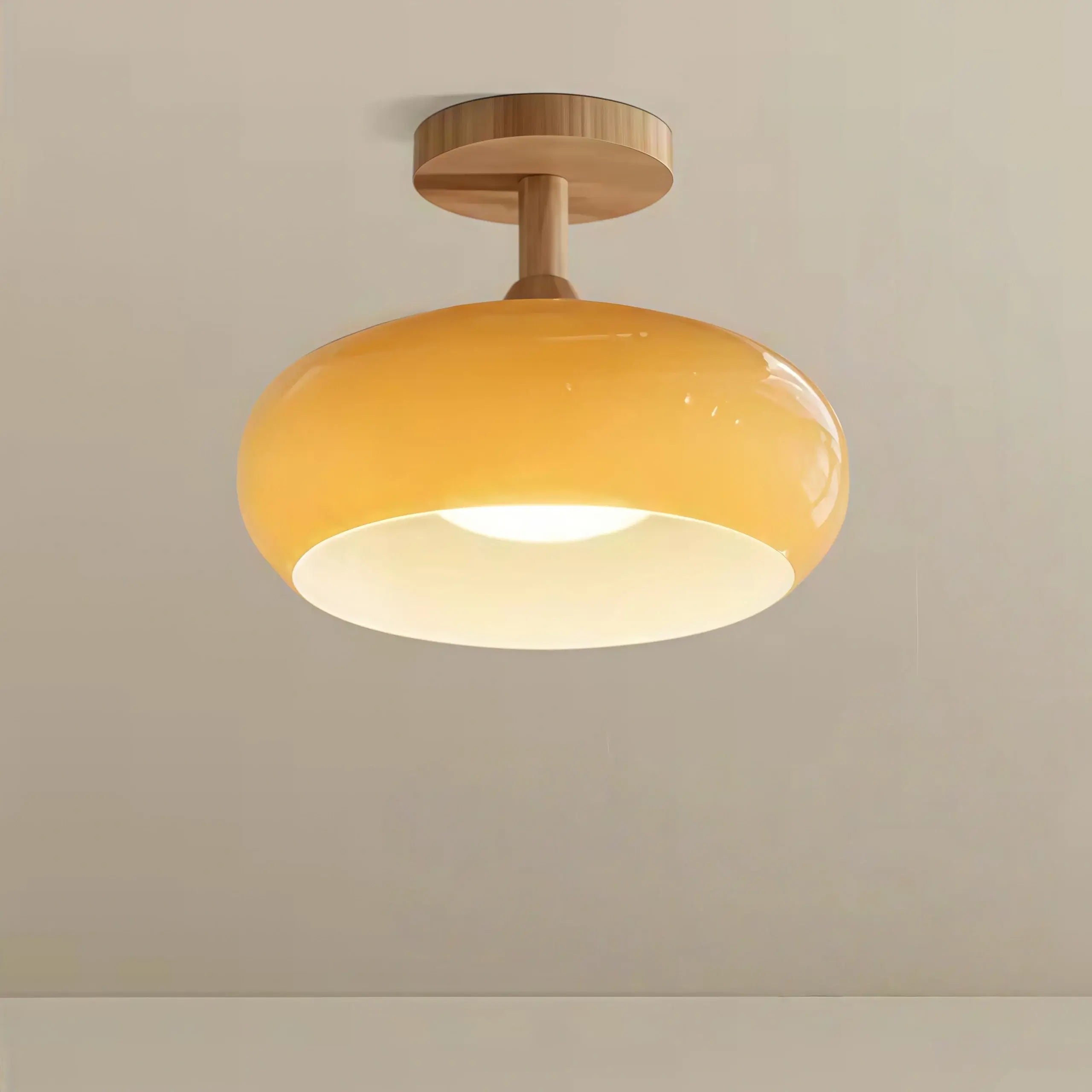  Modern Glass LED Ceiling Light