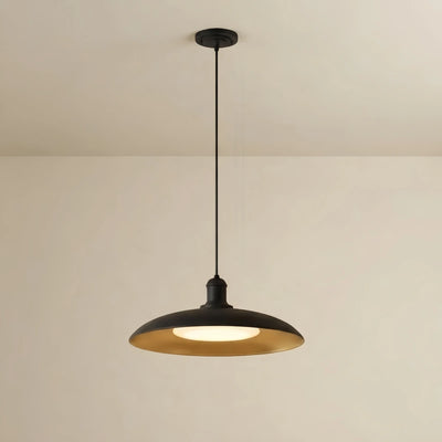Irondale Industrial Waterproof Pendant Light -- Black/Brass Iron for Outdoor Wall