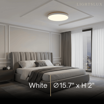 Minimalist Circular Ceiling Lamp — Wood & Matte Grey Frame 