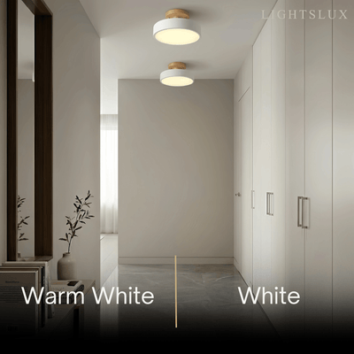 Morandia_Morandi_Style_Ceiling_Light