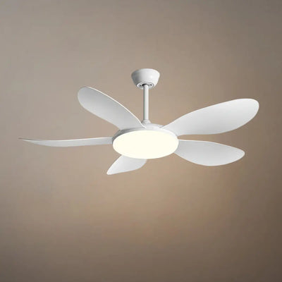 Zenno Modern Ceiling Fan Light 