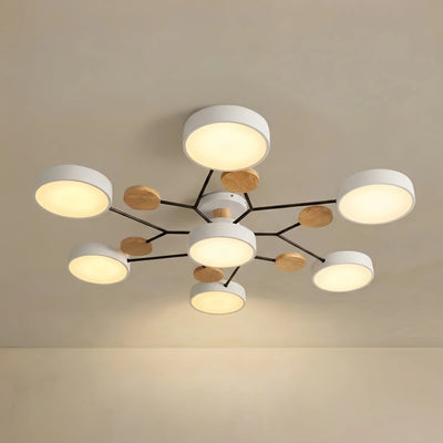 Ceiling Light - Multi-Head in Gray/Green/White for Living Room